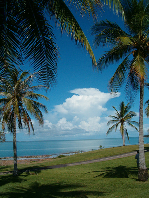 sally-ashley-zeng-tropical-clouds-large.jpg