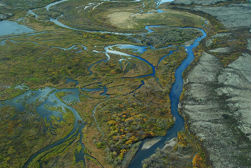 wania-methane-and-global-wetlands-large.jpg