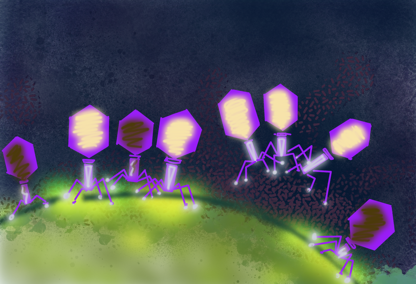 Artist’s representation of bacteriophages, the most abundant biological entities on earth. Researchers used a new CRISPR-based technology to characterize two model phages and demonstrate the potential to extend the approach to diverse phages. 