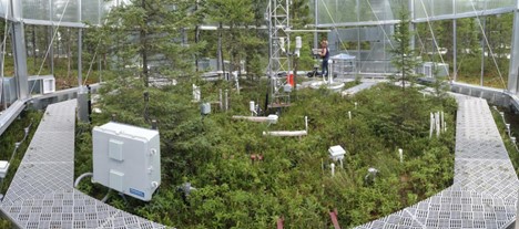 The interior of the SPRUCE experimental chamber showing instruments to monitor climate changes.