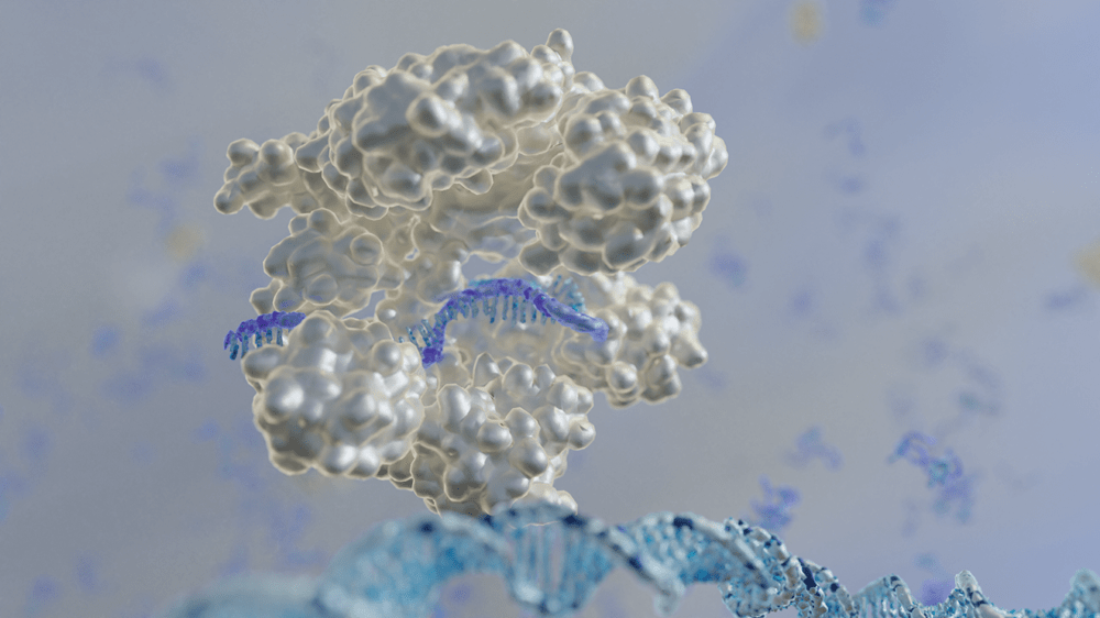 A guide RNA strand, in purple, guides CRISPR to a DNA strand. Scientists devised a method to identify genes that can be suppressed to customize microbes for biotechnology applications.