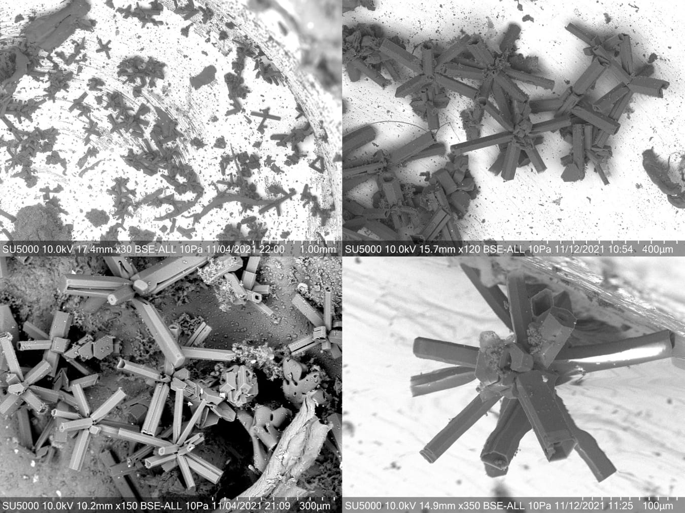 To help develop synthetic ice crystals for their machine learning pipeline, researchers used scanning electron microscopy to measure real ice crystal samples from the Ice Cryo-Encapsulation Balloon (ICEBall) campaign.