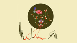 Vibrational spectral signature of the proton defect in the three-dimensional H+(H2O)21 cluster.