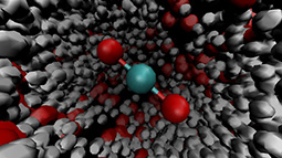 The hydration structure of dissolved carbon dioxide from X-ray absorption spectroscopy.