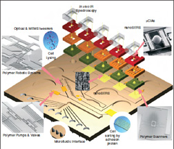 GC4: Nanotechnology