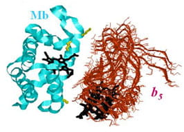 Electoactive block copolymer synthesis