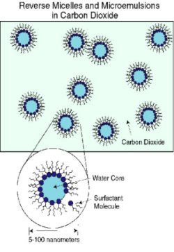 reverse micelle and microemulsions in carbon dioxide