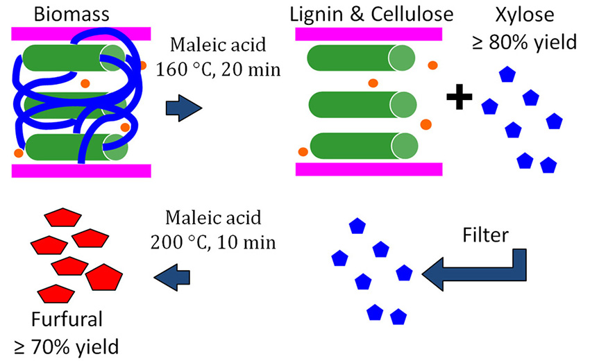 Selective hydrolysis and conversion of biomass hemicellulose to furfural