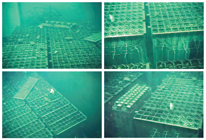 Used fuel in a Fukushima cooling pond after the earthquake.