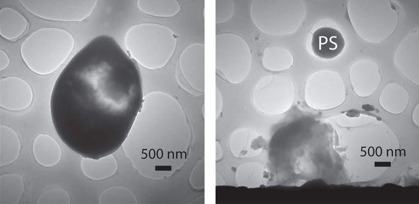 High magnification microscopy images of silica bubbles.