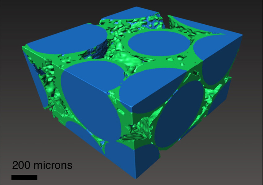 X-ray computer tomography (CT) image showing solid carbonate (calcite, green) grown in a network of glass beads (blue).