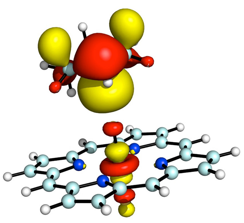 The proposed catalytic cycle for manganese porphyrin-catalyzed C-H fluorination reactions is consistent with theoretical calculations.