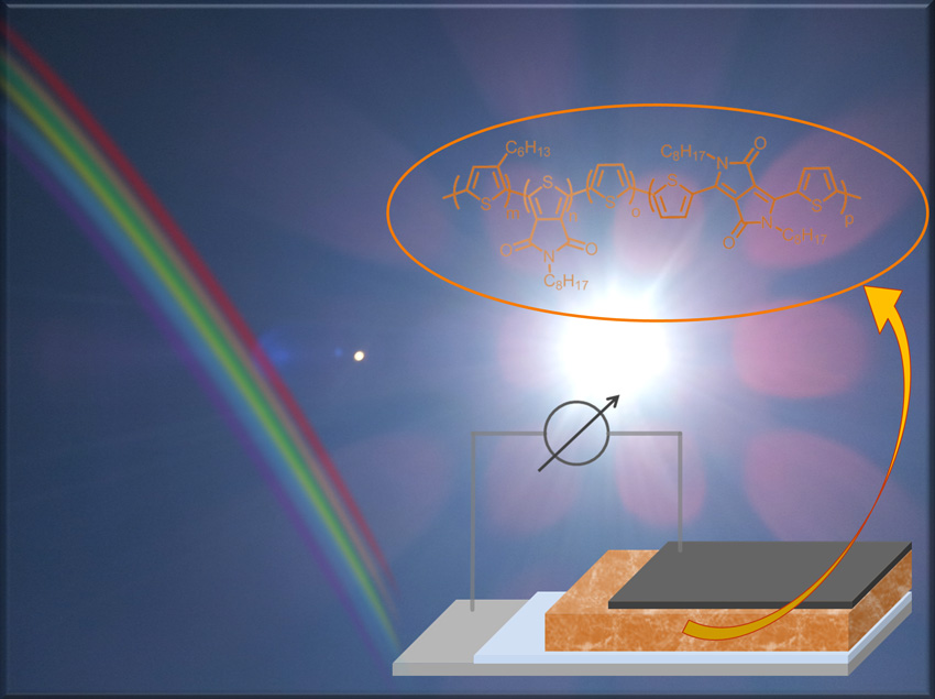 New conjugated polymers absorb the rainbow of sunlight.