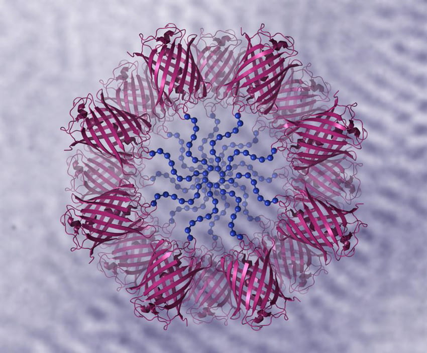 Schematic illustration of cylinder-forming diblock copolymers...