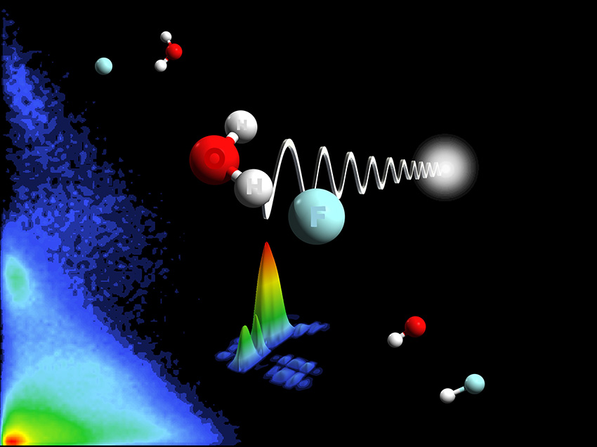 Laser induced photodetachment is used to turn a stable F¯(H2O) molecule into FH2O to study the “half reaction” processes experimentally and theoretically.