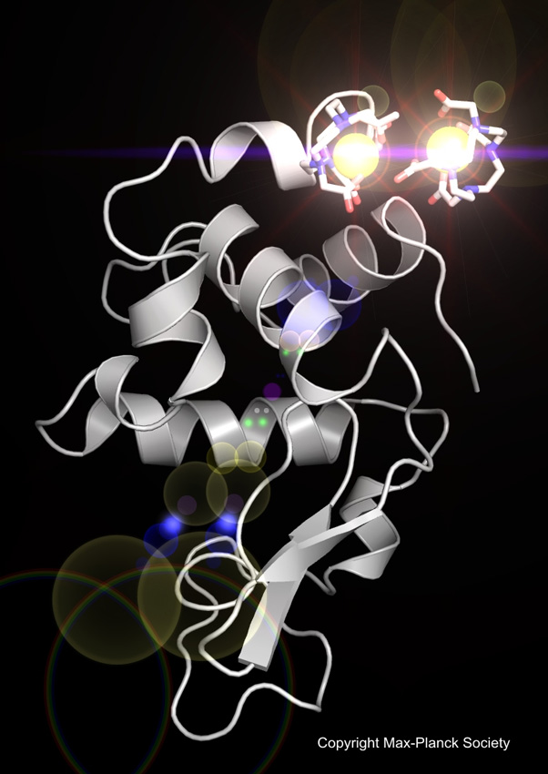 The weak signal of two gadolinium ions - shown as brilliant spheres - was used to solve the high resolution crystal structure of the model protein lysozyme.