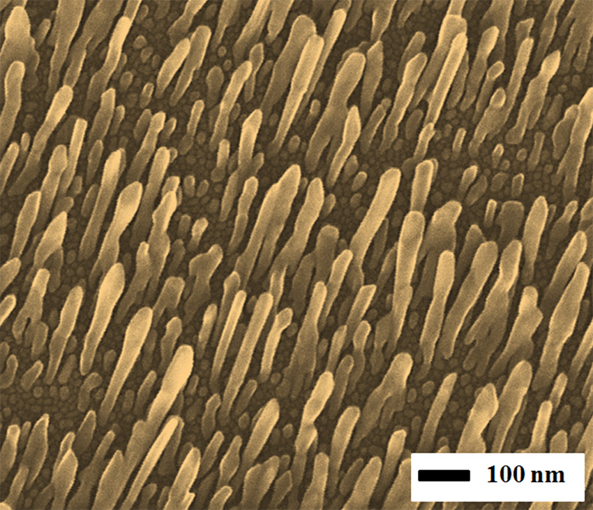 Copper (Cu) nanorods grown using physical vapor deposition.