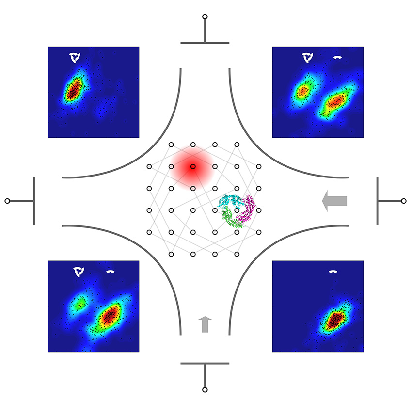 An anti-Brownian single-molecule microfluidic trap is used to observe individual light-harvesting antenna complexes in solution.