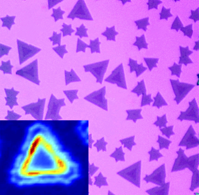 Optical microscope image of triangular-shaped metal-diselenide monolayer hetero-structures.