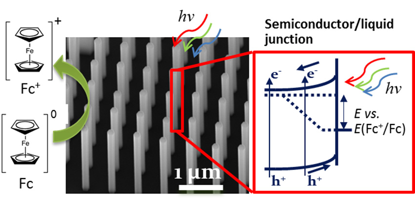 Gallium arsenide nanowire arrays grown on a silicon substrate are studied using photoelectrochemistry.