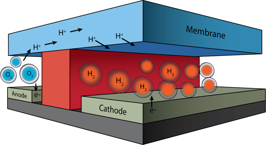 In this microfluidic water electrolysis device, the channels in which oxygen and hydrogen are generated by splitting water are separated by a chemically inert wall (red). The conduction of protons from one channel to the other, which is required for continuous operation, occurs via a Nafion® membrane cap (blue).