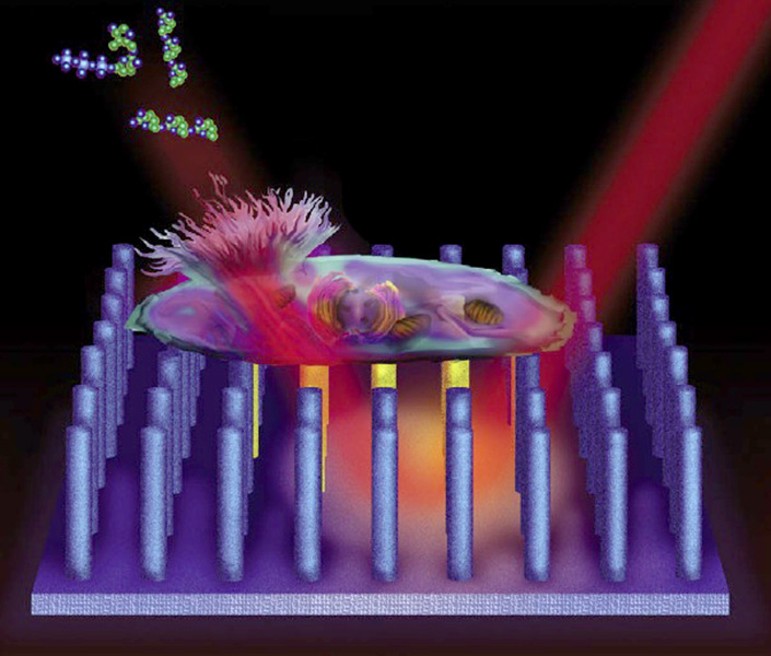 The matrix-free ionization platform consists of an array of silicon nanoposts.