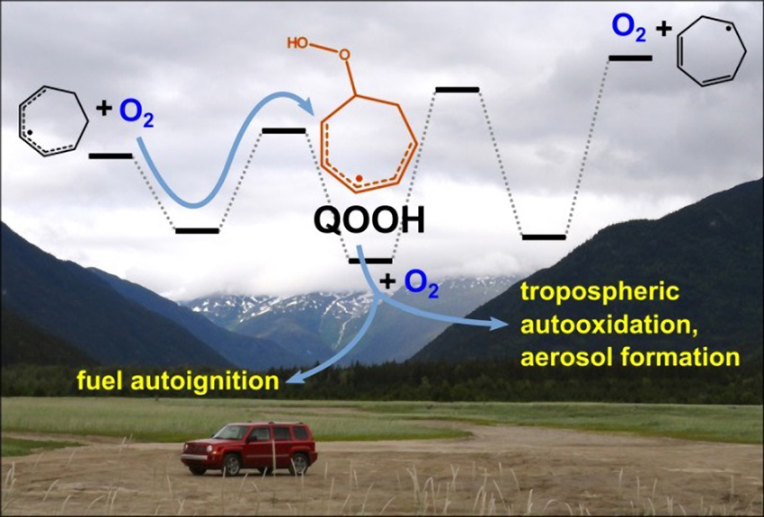 Scientists reported the first direct detection of a hydroperoxyalkyl radical—a class of reactive molecules denoted “QOOH”—that are key intermediates in combustion and atmospheric chemistry.