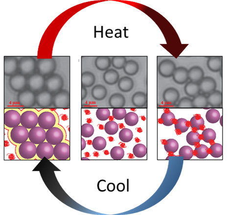 A liquid mixture solidifies to different solid phases upon cooling (left) and heating (right). At low temperature, colloidal spherical particles form crystals due to pressure from collisions with the surrounding polymer.