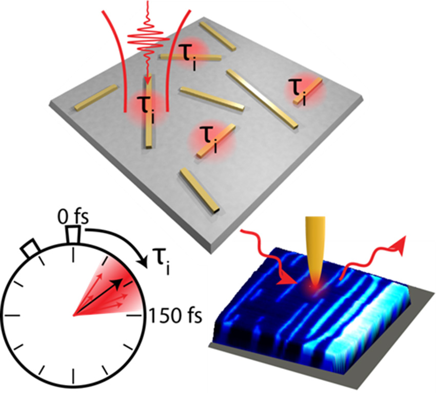 Ultrafast pump-probe microscopy on individual vanadium dioxide microcrystals measures the spatial and temporal variability of ultrafast dynamics of the insulator-to-metal transition.