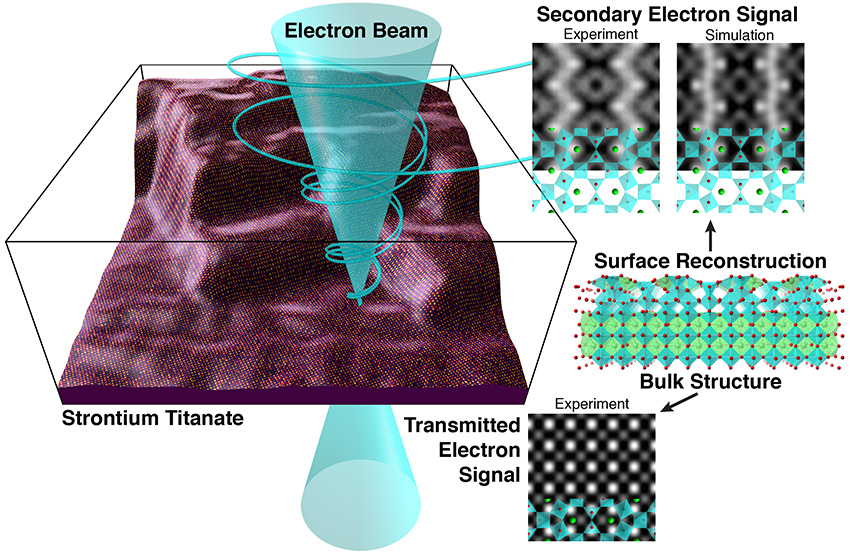 Advanced electron microscopy technique permits the simultaneous collection of both signals: secondary electron (that are sensitive to the surface) and transmitted electron.