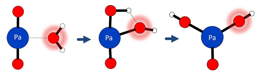 Adding a water molecule to the positively charged protactinium dioxide ion results in hydrolysis, or water splitting.