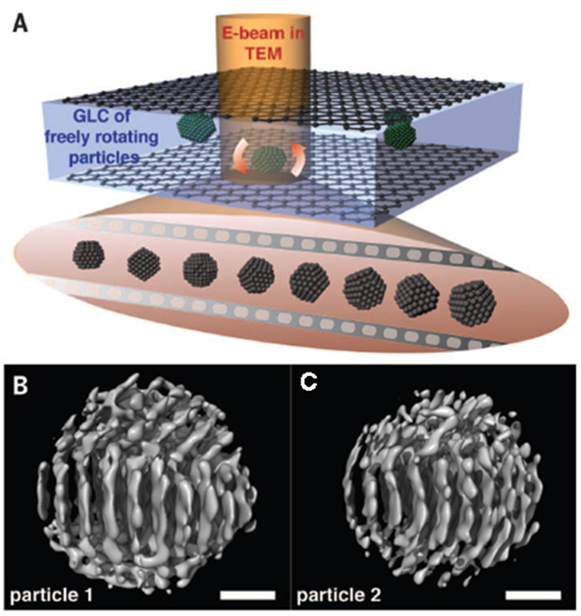 Two-dimensional snapshot used to reconstruct the 3D image of a particle.