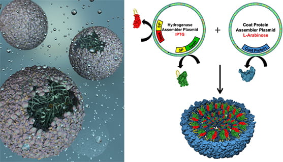 More Efficient Conversion of Water to Hydrogen Fuels 
