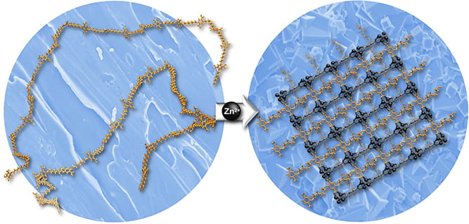 Novel Porous Materials 