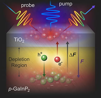 Photoelectrodes revealed