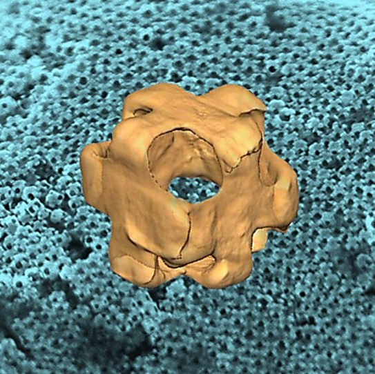 A hollow gold-silver alloy nanowrapper showing the pores at each corner, and in the background, a lattice of nanowrappers.