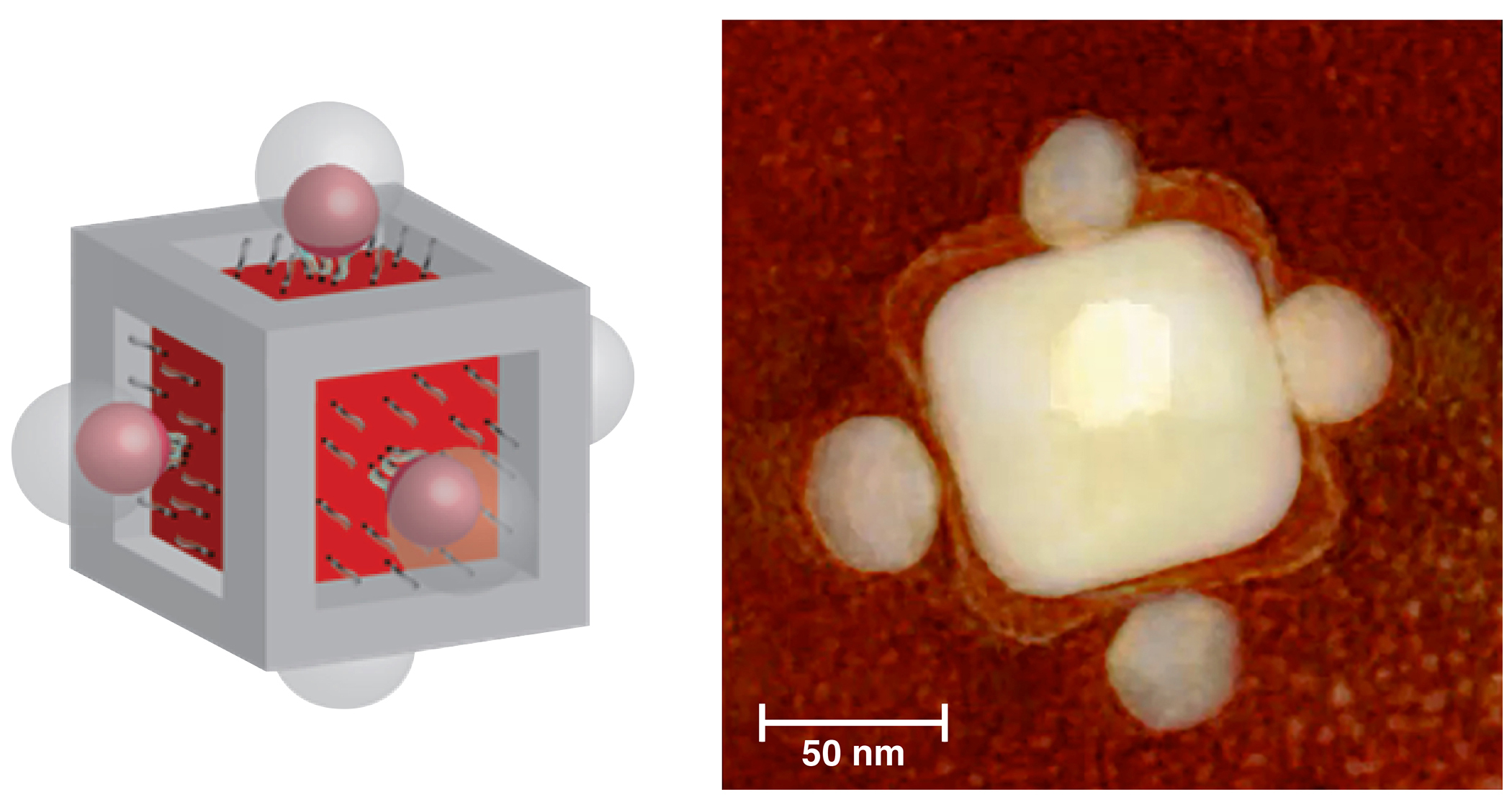LEGO™ Construction of Nanoparticle Assemblies represented in two diagrams, one as a cube with globes on each side, and the second as a square of light with a dot of light on each side and in the center on a dark red background.