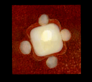 LEGO™ Construction of Nanoparticle Assemblies represented as a square of light with a dot of light on each side and in the center on a dark red background.