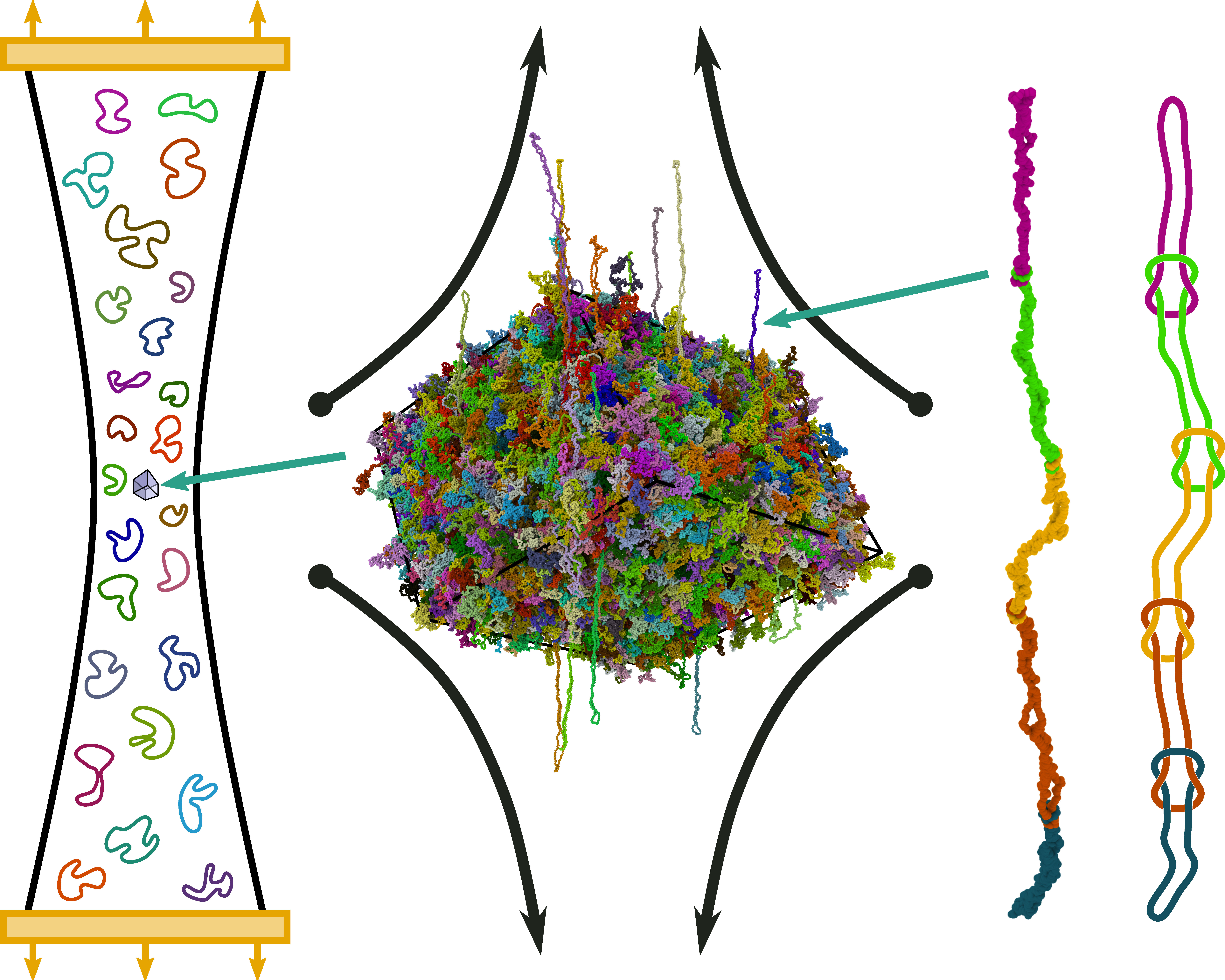 A tube of multicolored circle compressed in the center, followed by a burst of clumped particles being stretched, followed by a spectrum of particles in a thread, and lastly a spectrum of particles chained.