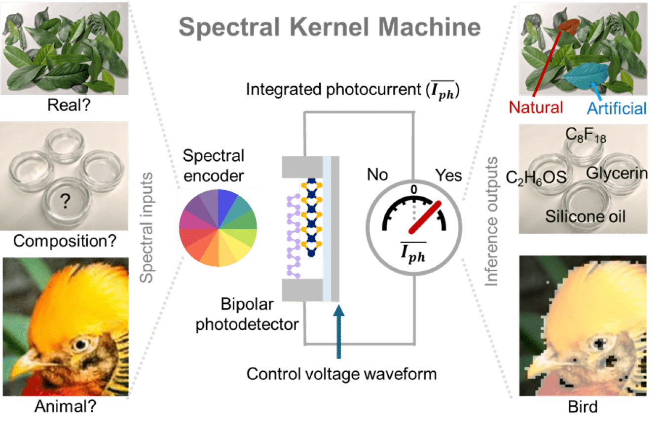 The new sensors, called spectral kernel machines (SKMs) convert optical spectra into diverse environmental knowledge at high speed with low power consumption.