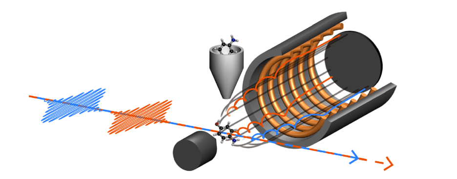 Two synchronized flashes of ultrafast X-rays interact with a molecule. The electrons ionized from the molecule are detected with an energy spectrometer, providing observation of the interaction between the two particles at the attosecond timescale. 