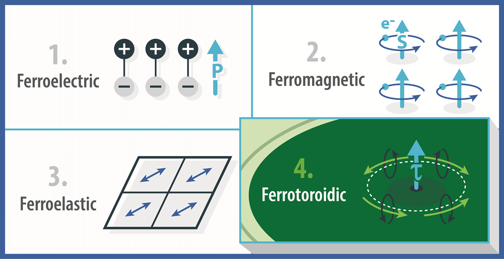 (1) Ferroelectrics: polarity switched by electric fields, (b) ferromagnetics: magnetism switched by magnetic fields, (3) ferroelastics: elasticity switched by applied stress, (4) ferrotoroidics (unconfirmed): magnetic domains switched by magnetic fields.