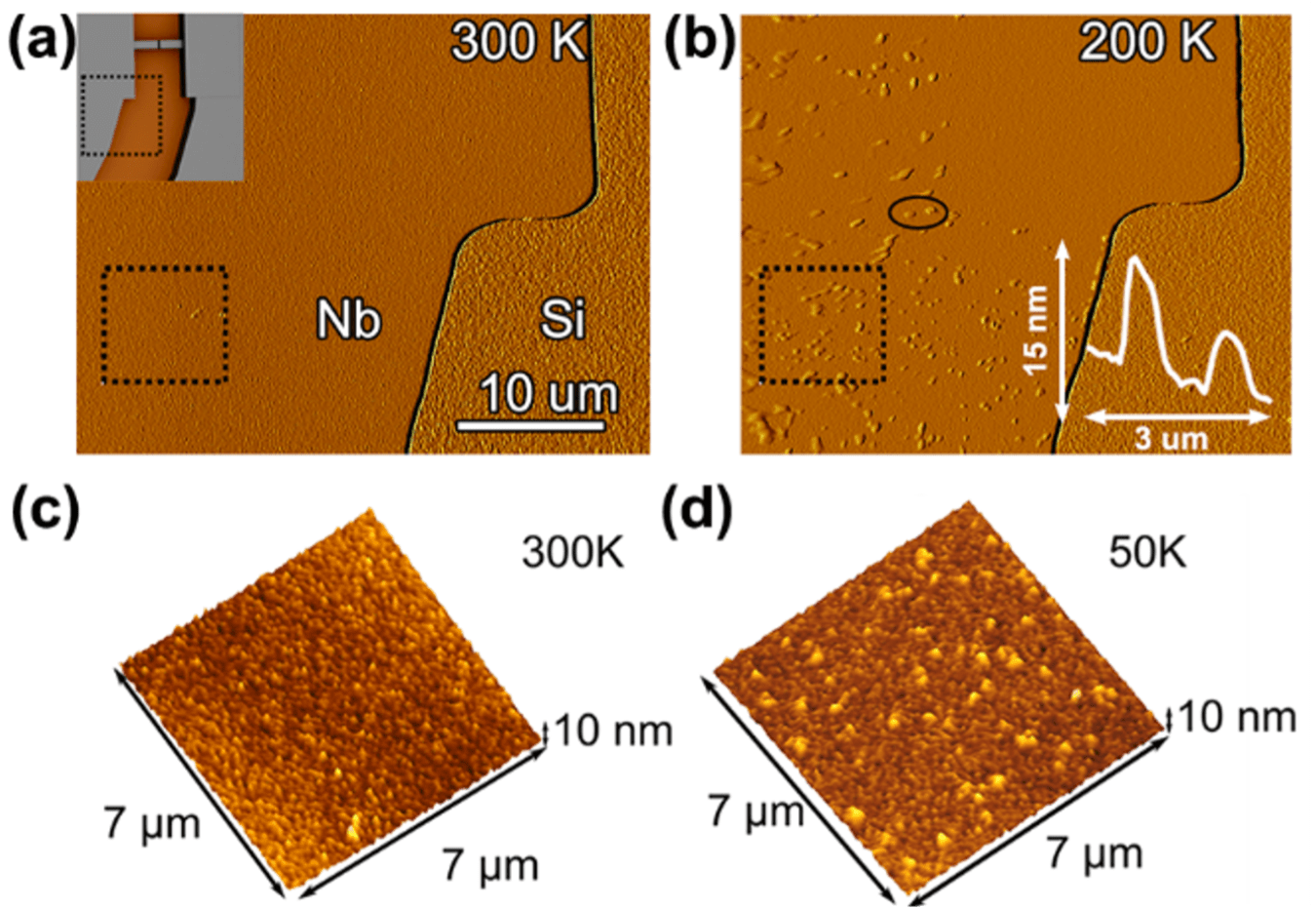 (a-d) Atomic force microscopy (AFM) images of niobium (Nb) based superconducting qubits at (a,c) room temperature and (b,d) cryogenic temperatures. At low temperatures, the “hills” represent the formation of niobium hydrides.