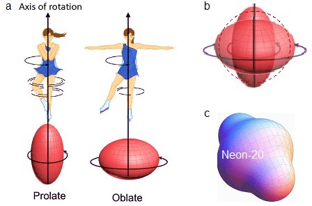 (a) The moment of inertia is smaller for prolate shapes and larger for oblate shapes. (b) Nuclei combine several such shapes. (c) A snapshot of the neon-20 nucleus from simulations. Studying the shape can help explain the physics of fast-rotating nuclei.