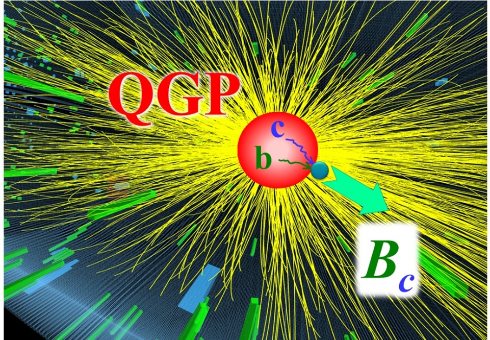 Quark recombination in the quark-gluon plasma formed in high-energy nuclei collisions enhances the production of Bc mesons. These mesons consist of a charm quark and a bottom quark. Most of the quark-gluon plasma decays into thousands of other particles.