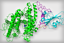 Molecular structural determination