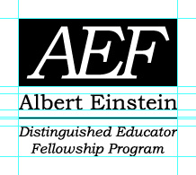 AEF Logo Padding Vertical