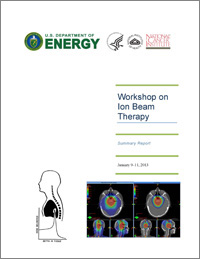 Workshop on Ion Beam Therapy Report